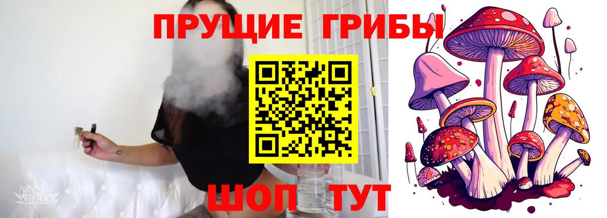 Псилоцибиновые грибы мухоморы Киров
