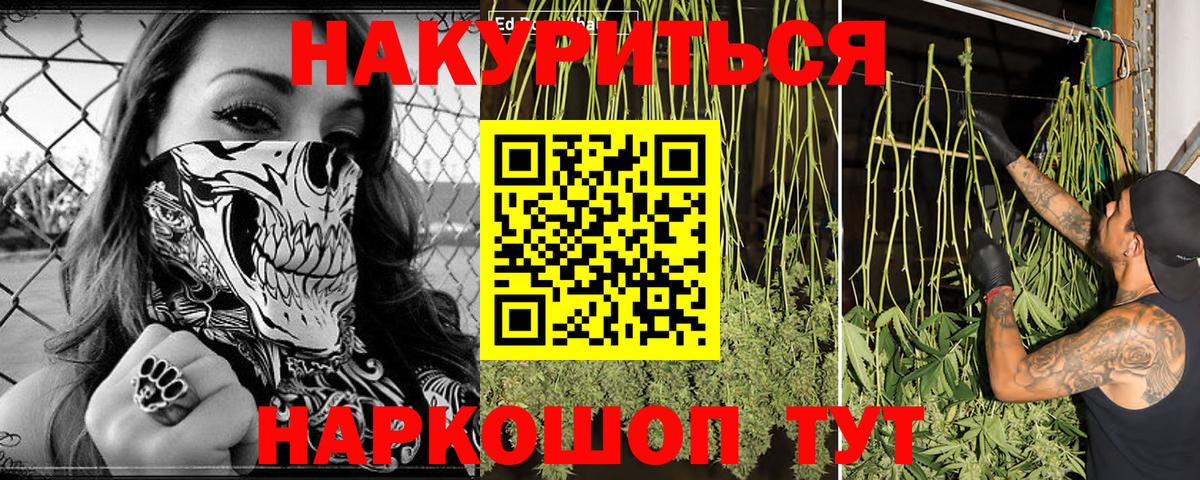 Бошки марихуана план  МАРИХУАНА индика  Киров  Каннабис планчик  Вход с VPN 